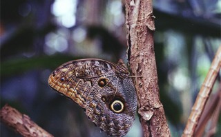 殺死薩拉查劇情介紹，殺死薩拉查百度雲百度網盤免費在線觀看