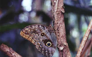 爺們兒劇情介紹，爺們兒劇情介紹34集百度網盤免費在線觀看