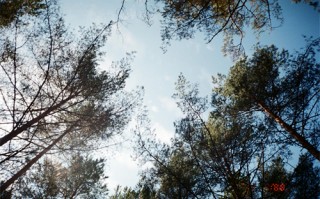 奔騰劇情介紹，奔騰電視劇劇情百度網盤免費在線觀看